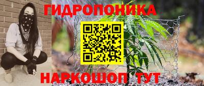 PSILOCYBIN Абинск