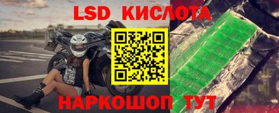 СК Бийск