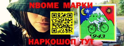 СК Бийск