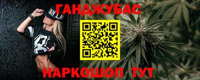 СК Бийск