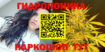 СК Бийск